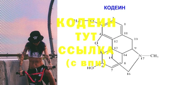 мдпв Пересвет