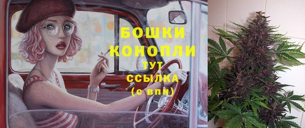 мдпв Пересвет