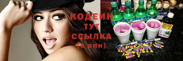 мдпв Пересвет